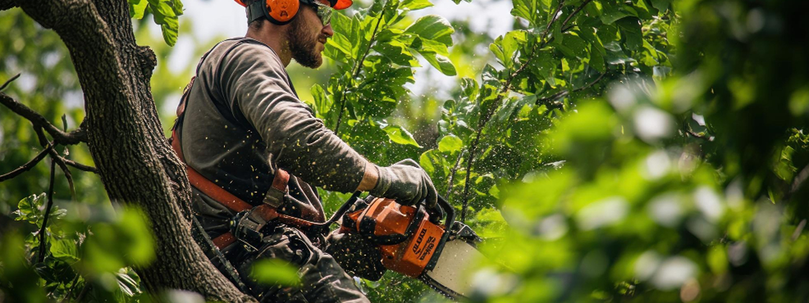 Élagage et entretien de parc à Roques